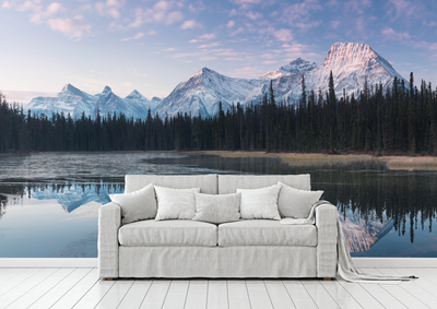 Wall Murals Canada