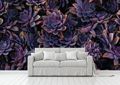 Custom Wall Murals Canada