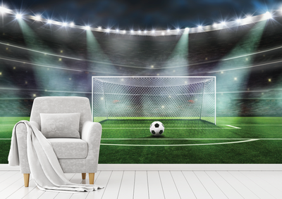 Soccer Stadium Wall Mural Canada