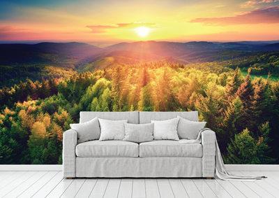 Sunset Forest Wall Mural